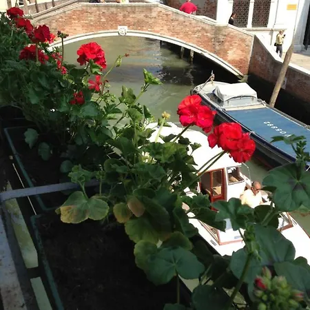 Appartement Luxury Venetian 3356 *